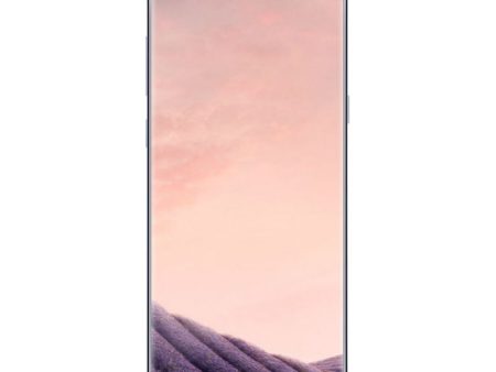 Samsung Galaxy S8+ Dual 128GB 4G LTE Orchid Gray (SM-G9550) Unlocked Hot on Sale